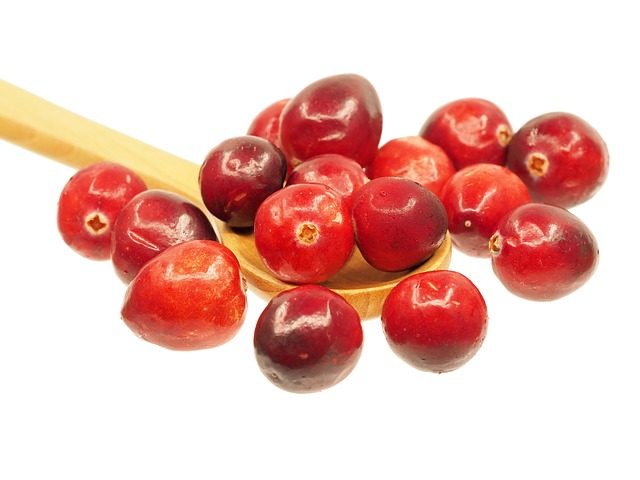 Proantocianidinas del arándano rojo