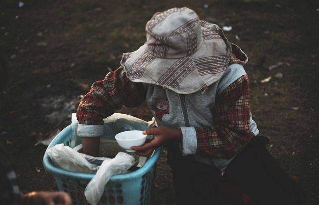 Día Mundial de la Alimentación