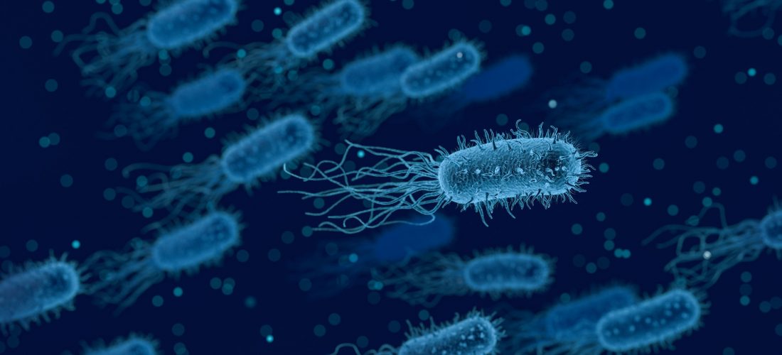 LISTERIOSIS. Qué es y todo lo que debes saber
