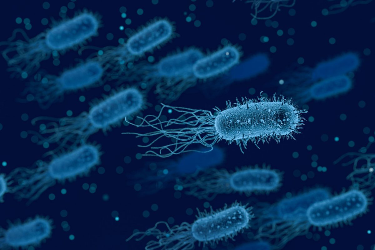 LISTERIOSIS. Qué es y todo lo que debes saber