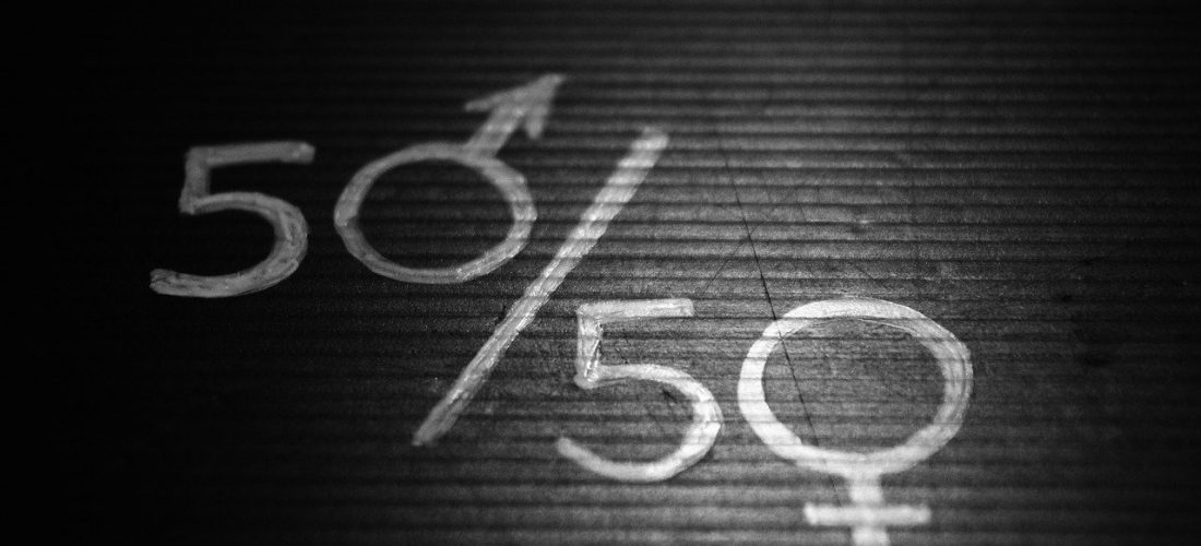 Equidad e Igualdad: borrador del Compromiso FIP