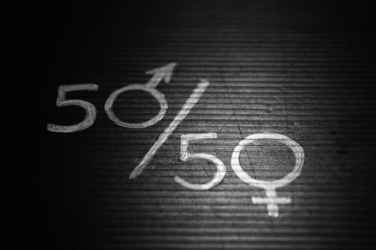 Equidad e Igualdad: borrador del Compromiso FIP