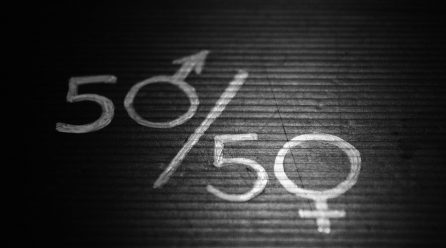 Equidad e Igualdad: borrador del Compromiso FIP